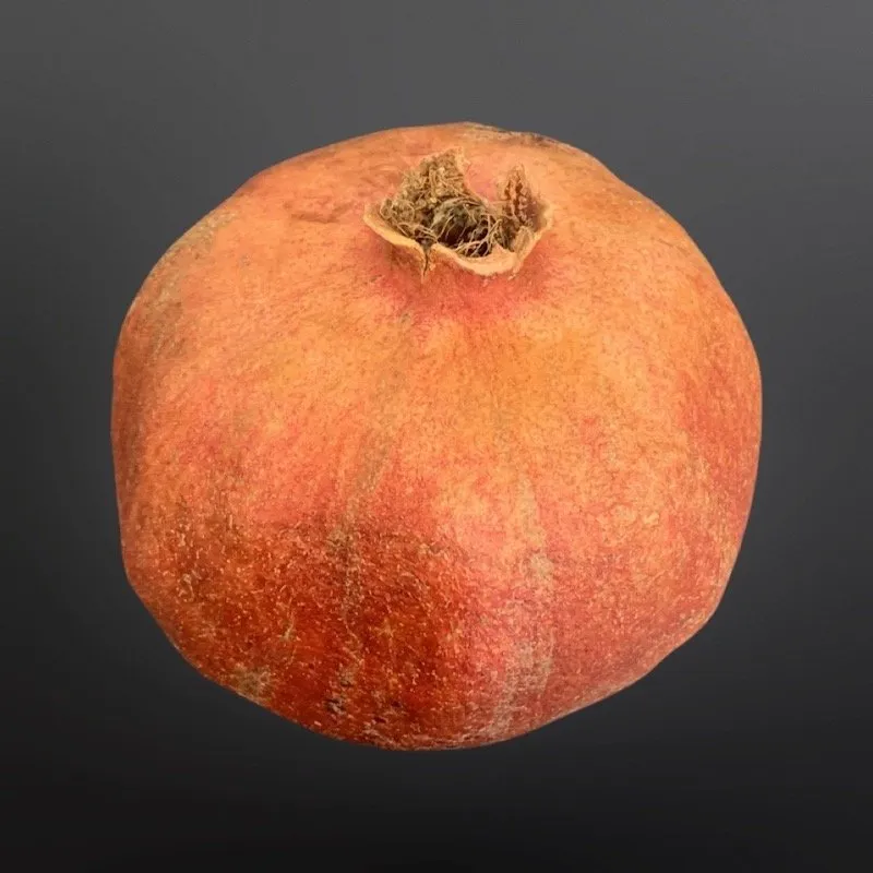 Granatapfel
